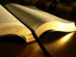 Библия - попрежнему самая издаваемая книга в мире 