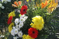 Фото 4