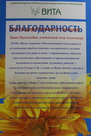 Фото 6