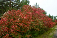 Фото 9